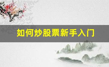 如何炒股票新手入门 怎么开户(如何炒股票新手入门 怎么开户 知乎)_https://www.taocizhiliang.com_装修流程_第1张